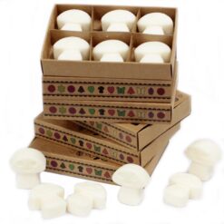 Wax Melt Gift Box - White Musk