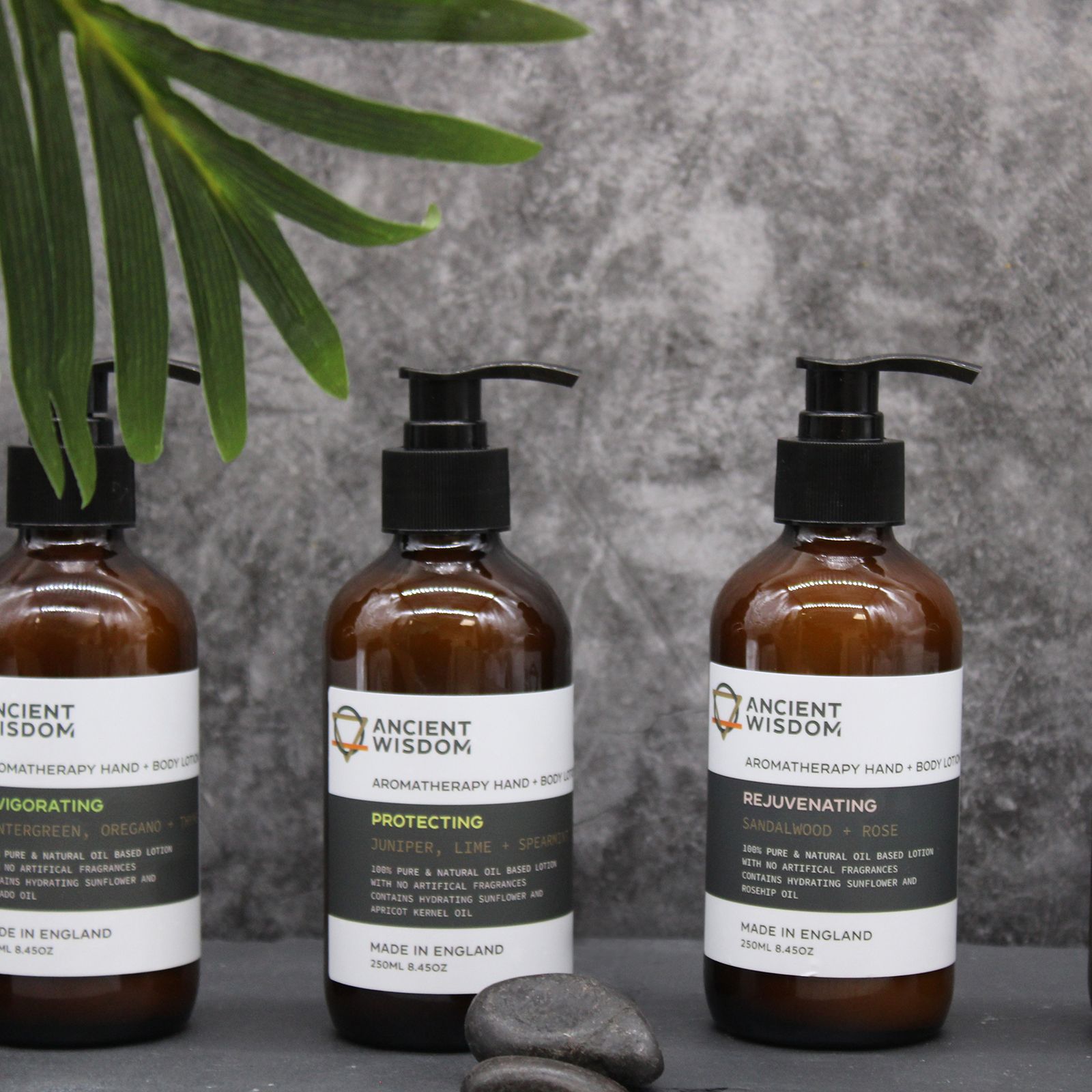 Aromatherapy Hand & Body Lotion - Wintergreen, Oregano & Thyme - Image 4