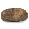 Petrified Wood Soap Dish